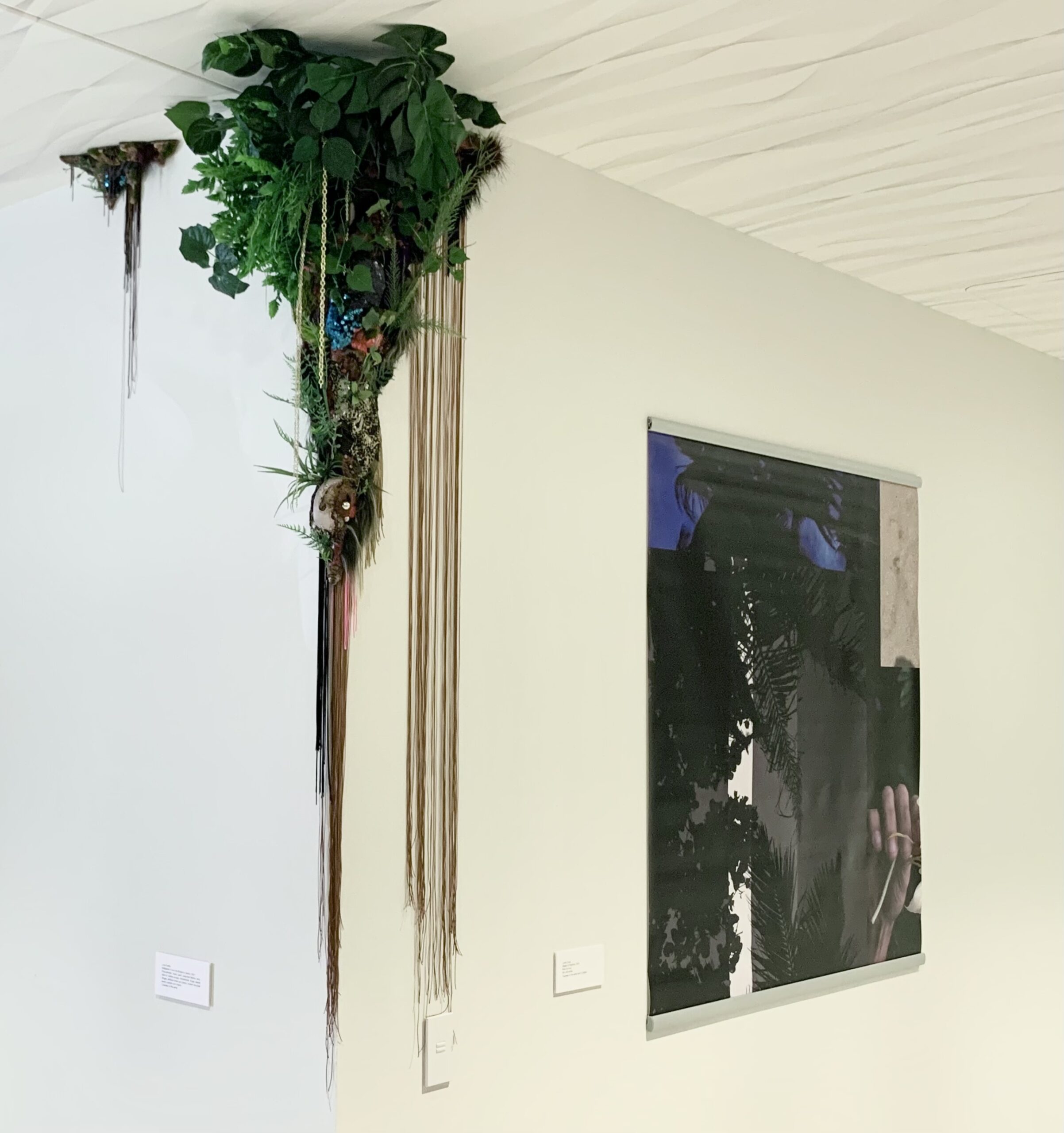 Entangled Nature: Lionel Cruet and Lina Puerta at AON - The Bronx 