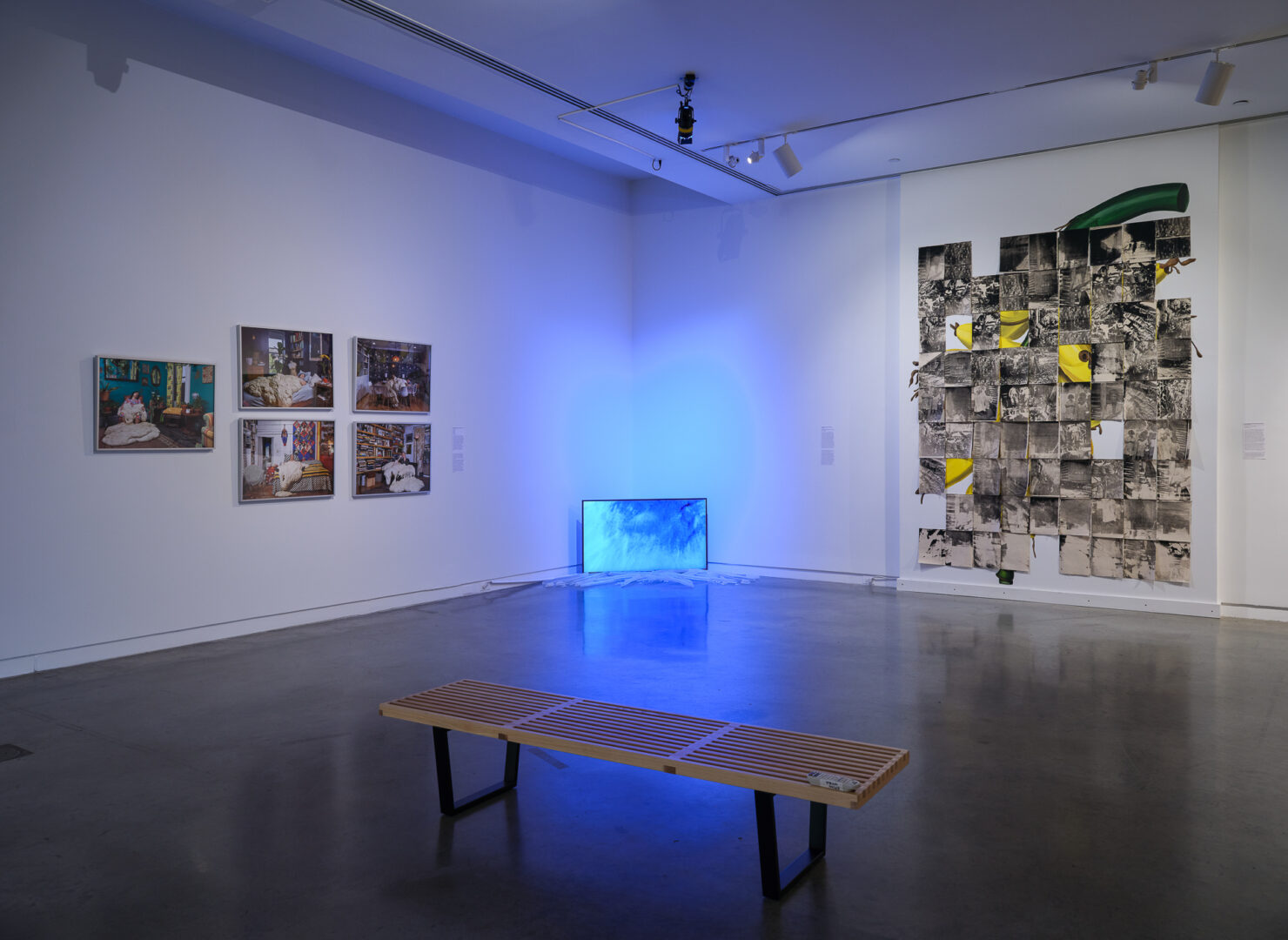 Bronx Calling: The Sixth AIM Biennial (Part One) - The Bronx Museum